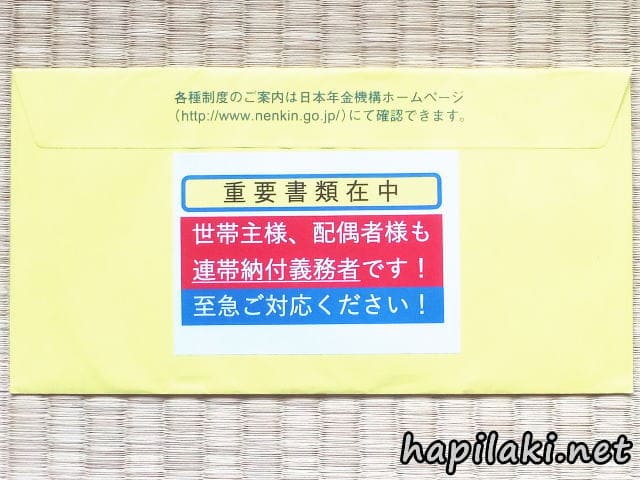 国民年金の免除申請を再度したのに特別催告状が来て不愉快だった はぴらき合理化幻想